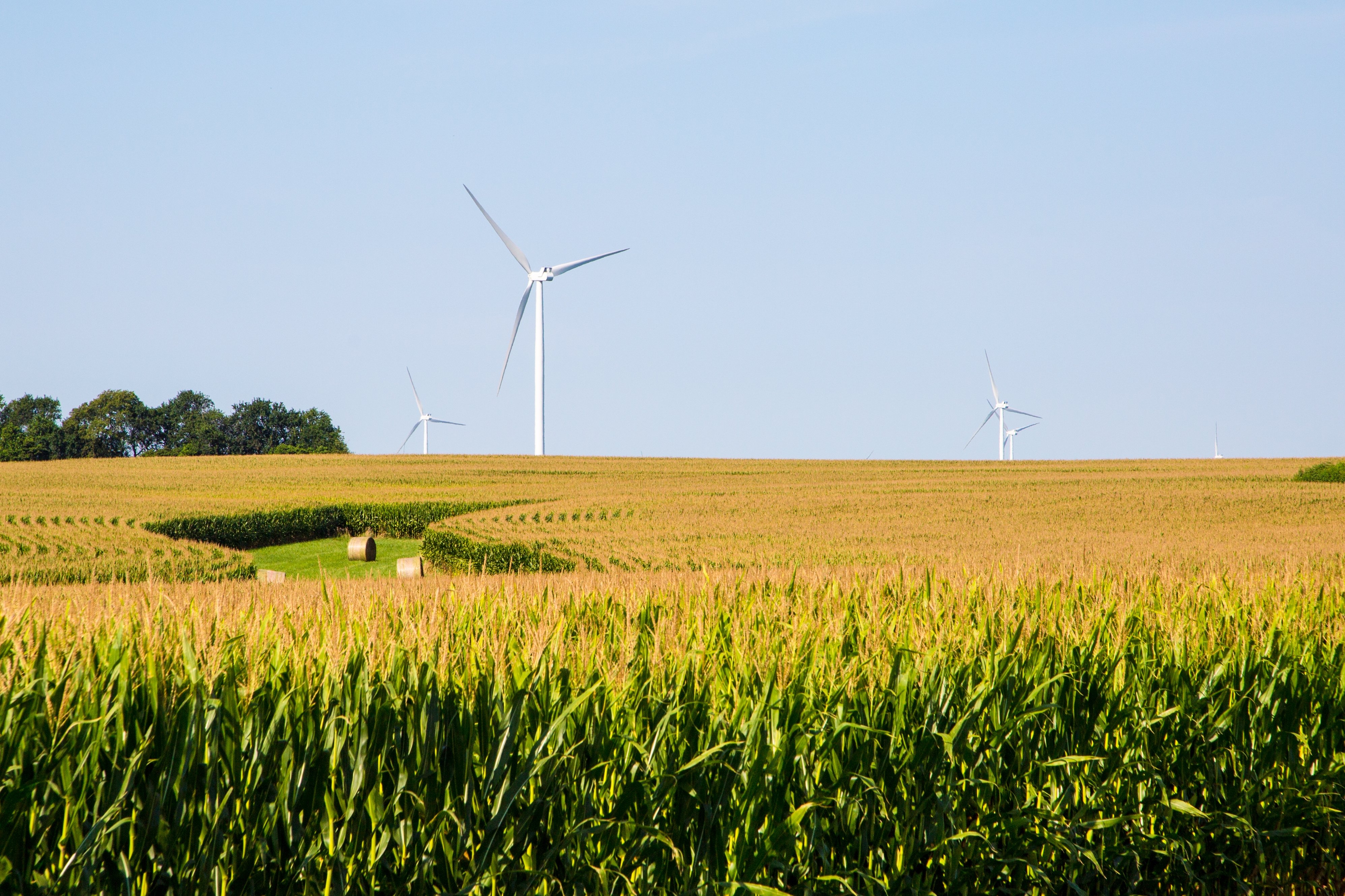 Apex Wind Farm