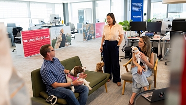 Mars Associates with their dogs at the office.